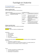 Fysiologie en Anatomie H3