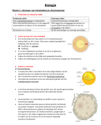 Samenvatting structuur van chromatine en chromosomen 