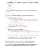 Hoofdstuk 2: Medulla spinalis (ruggenmerg)