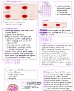 Samenvatting Afweer 6VWO
