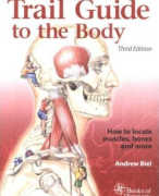 Anatomie spieren en ligamenten