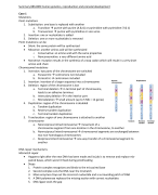 Summary BBS1005 Human Genetics and Prenatal Development