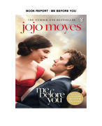 boekverslag Engels me before you