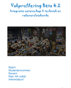Vakprofilering Bèta 4.2