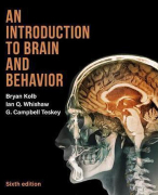 Hersenen en gedrag