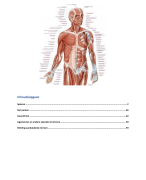 Algehele anatomie fysiotherapie, leerjaar 1