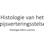 Histologie van de spijsvertering 
