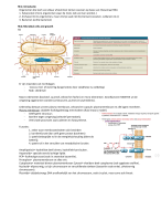 Samenvatting Microbiologie deeltentamen 1