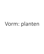 Vorm-planten-microscopische doorsnedes + aanduidingen structuren
