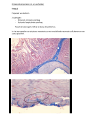 Onbekende preparaten cel- en weefselleer