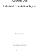 IO Report Resources Stenden