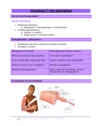 Hoofdstuk 1: Een inleiding in de anatomie en fysiologie 