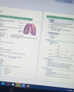 biologie: ademhaling en celademhaling