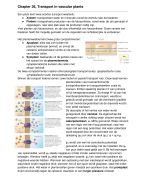Samenvatting Molecular Biology of The Cell 6e editie: Hoofdstuk 4, 5, 6 en 7