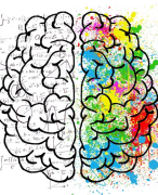 Social Work Hanze - aantekeningen hoorcolleges Stromingen in de psychologie 2020/2021