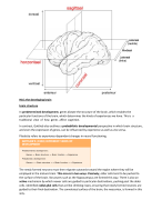 Samenvatting 'the learning brain' boek & colleges