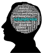 onderzoekscompetentie schizofrenie