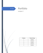 Portfolio assessment (Social Work, 2e jaar): Verslag