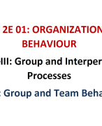 Group and Team Behaviour Lecture Notes