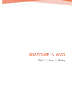 Anatomie in Vivo (blok 1.1) 
