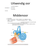 Samenvatting biologie Het oor 3de middelbaar