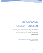 Samenvatting SMW V&V1 - Keuzemodule schokkende gebeurtenissen 