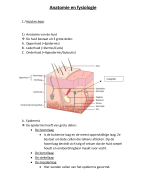 Anatomie - urinaire stelsel