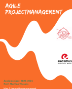 Agile projectmanagement - Samenvatting innovation 