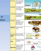 BEST BIOLOGY QUESTION AND ANSWERS FOR STUDENTS AND TEACHERS 