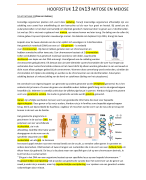 Hoofdstuk 12 & 13; meiose en mitose