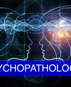 Social Work Hanze - samenvatting Psychiatrie Een Inleiding 2021/2022