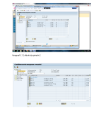 sapp printscreens van het werkstuk