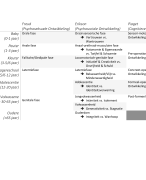 Overzicht fasen levenslooppsychologie