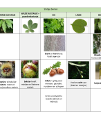 Deel 6 theorie: natuur en techniek (mens en wereld 1)