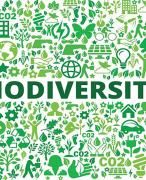 Bio 3: Biodiversiteit