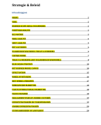 Samenvatting Strategie & Beleid 2