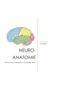 Compleet document Neuroanatomie LA