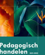 Onderzoek pedagogisch handelen