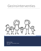 Gezinsinterventies - Verslag Viaa