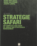 Samenvatting Strategie-safari