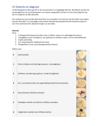 Carieslaesies H2 Detectie en Diagnose