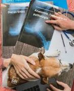 aantal examen vragen anatomie fysiologie pathologie