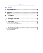 European Law IBM1