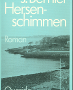 Boekverslag van \'Hersenschimmen\' van J Bernlef
