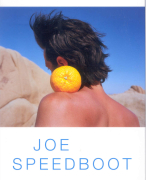 Boekverslag 'Joe Speedboot' van Tommy Wieringa