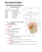 samenvatting van het vak neuropsychologie