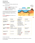 samenvatting Aardrijkskunde Systeem Aarde 5Havo