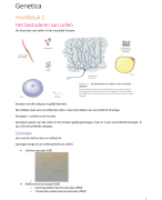 Samenvatting Genetica (LOG2)