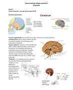 Samenvatting alle colleges anatomie periode 2 leerjaar 1 Fontys Fysiotherapie