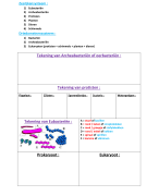 Biologie: 5de middelbaar: 6-rijkensysteem